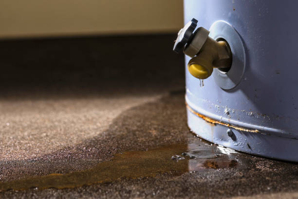 Best Water damage restoration near me  in Woodbridge, CA