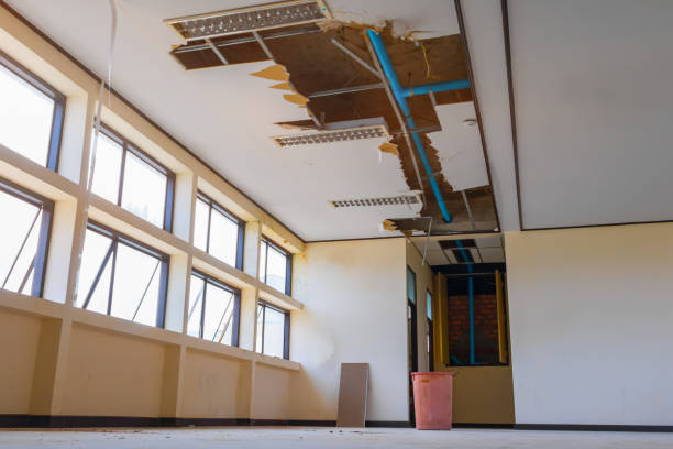 Best Carpet water damage restoration  in Woodbridge, CA