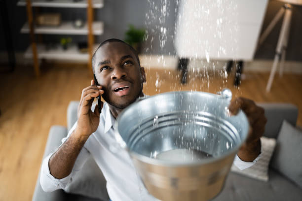 Best Flood restoration services  in Woodbridge, CA