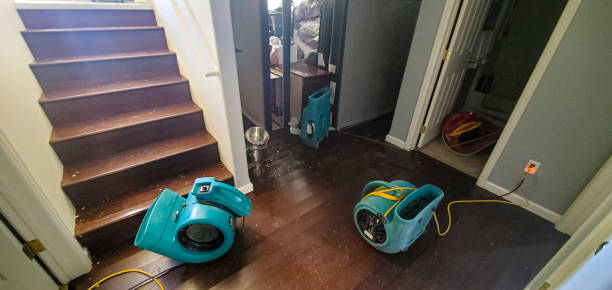 Best Ceiling water damage repair  in Woodbridge, CA