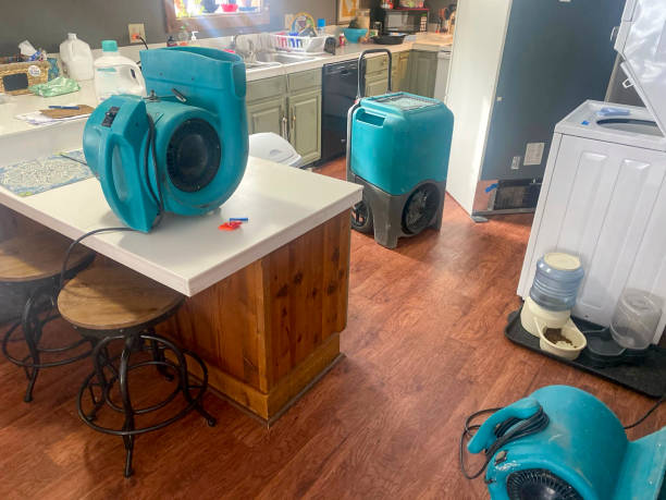 Trusted Woodbridge, CA Water damage restoration Experts
