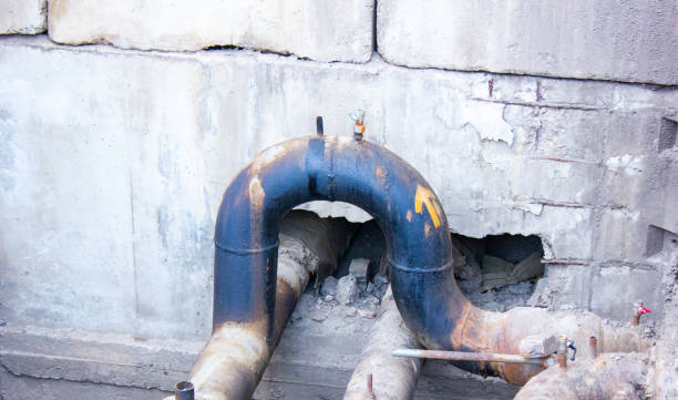 Best Water damage contractors near me  in Woodbridge, CA