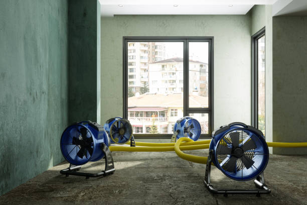 Water damage restoration experts in Woodbridge, CA